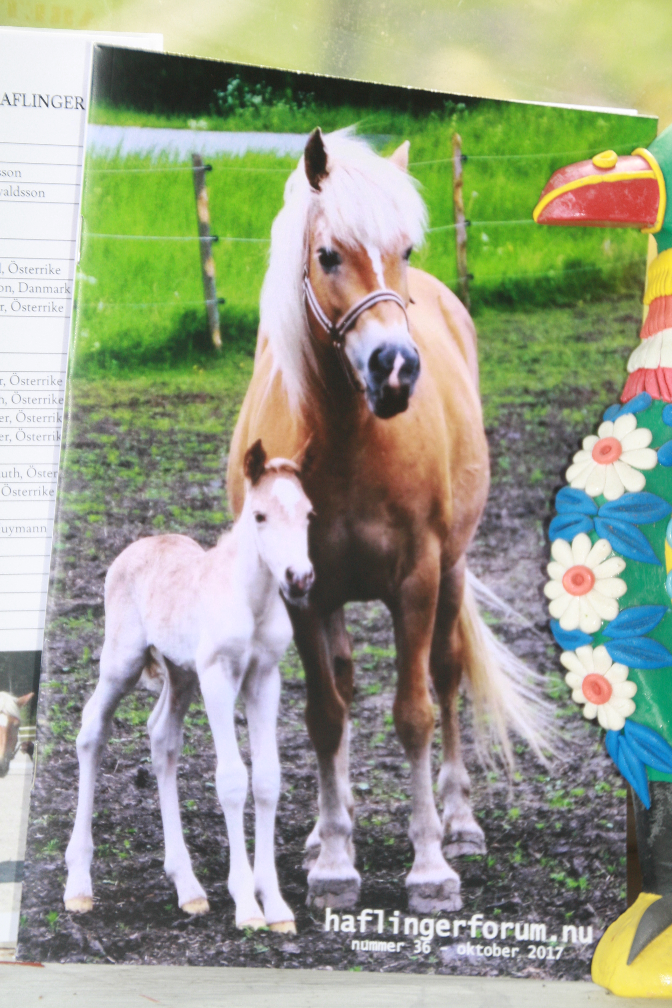 https://haflinger.ifokus.se/u2/1af59c5a41105170f70b2f6402ccadbc/default/img-0002.jpg
